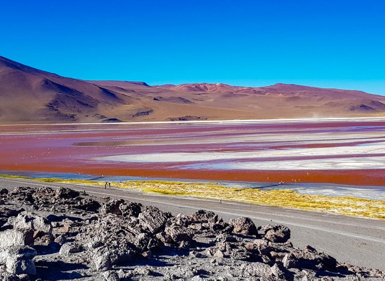 Uyuni & Sajama Tours