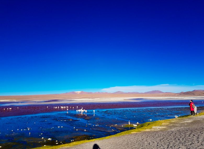 Uyuni & Sajama Tours
