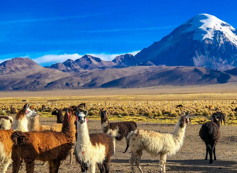 Uyuni & Sajama Tours